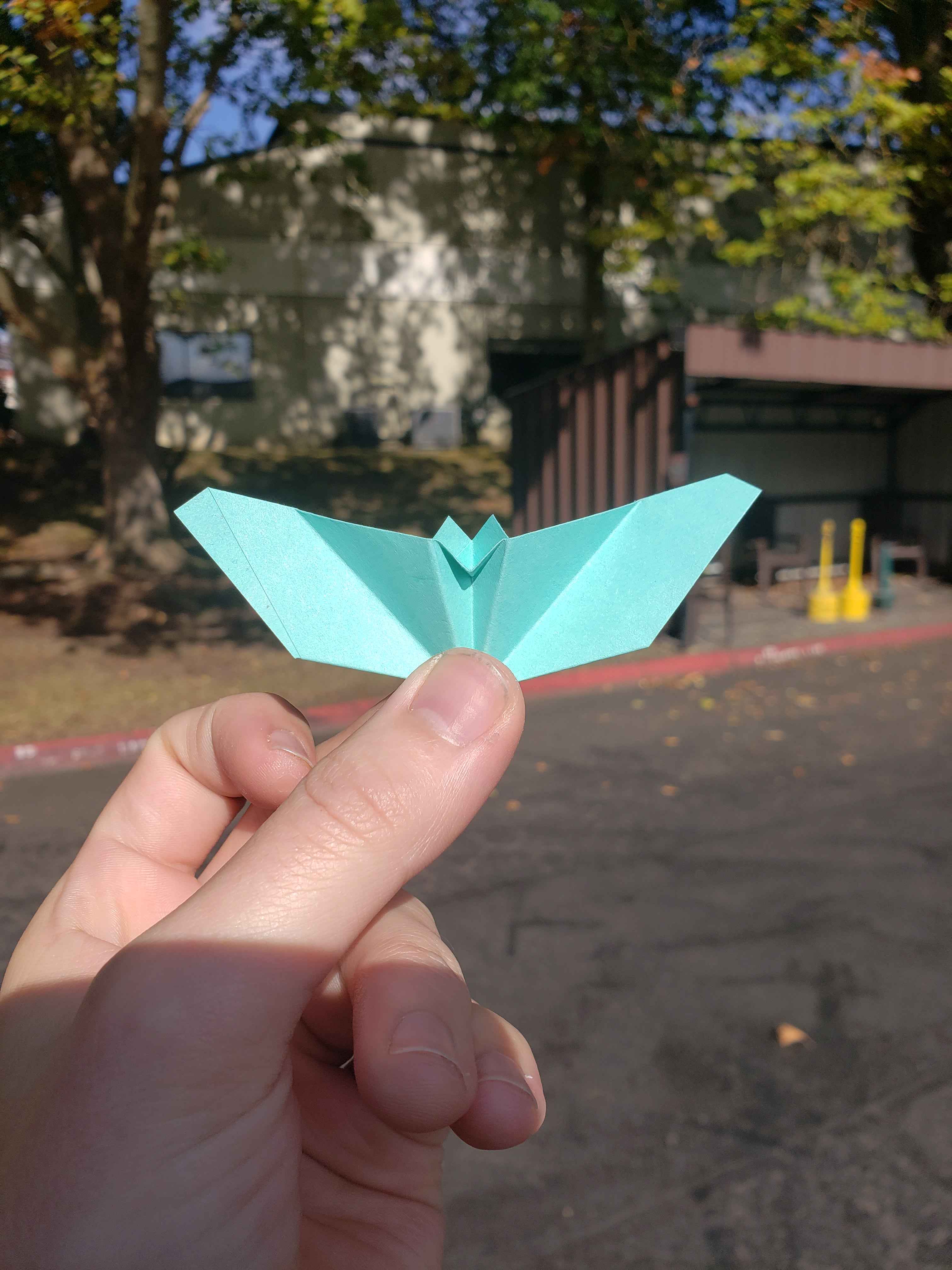 Bat