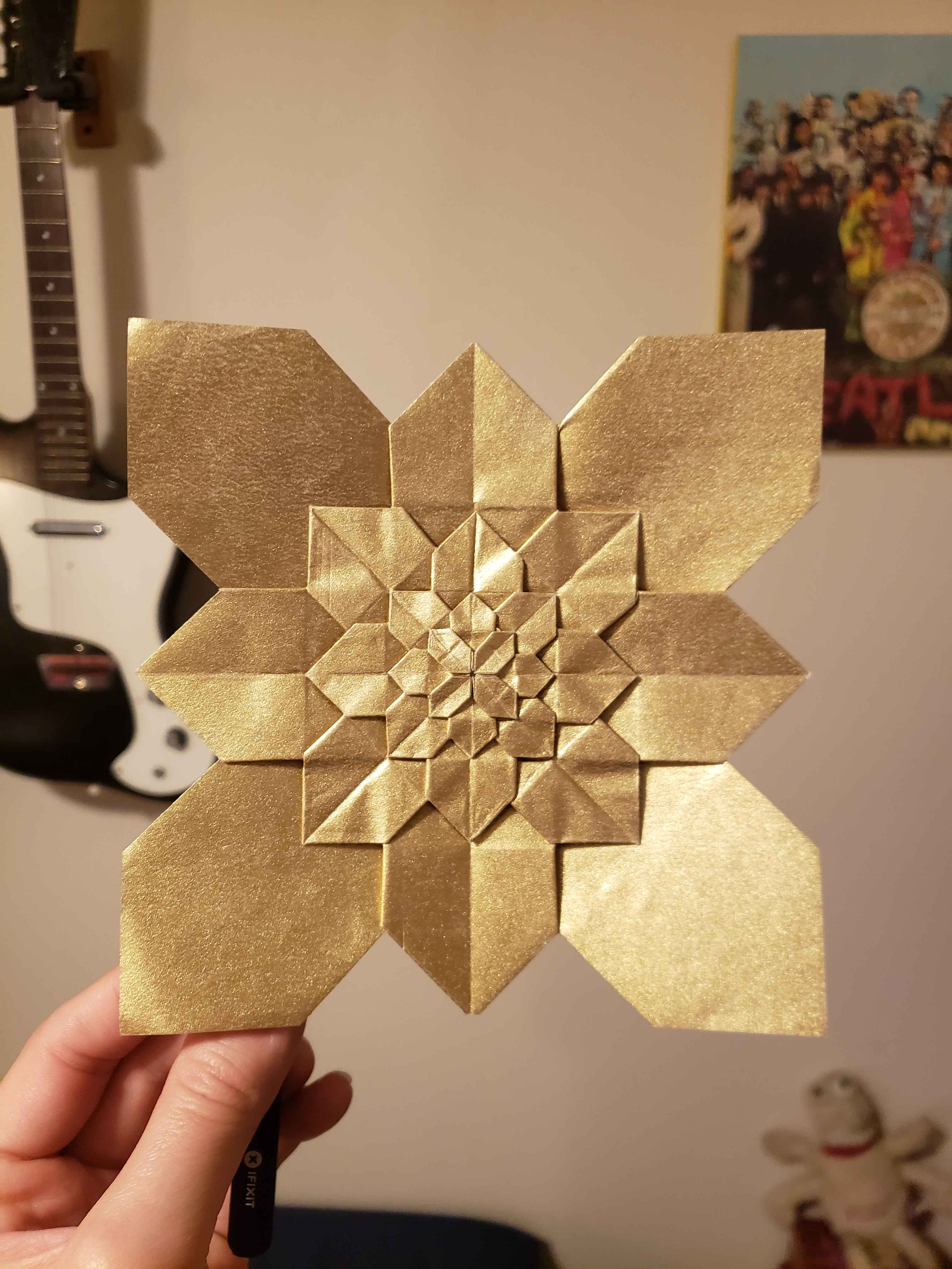 Hydrangea