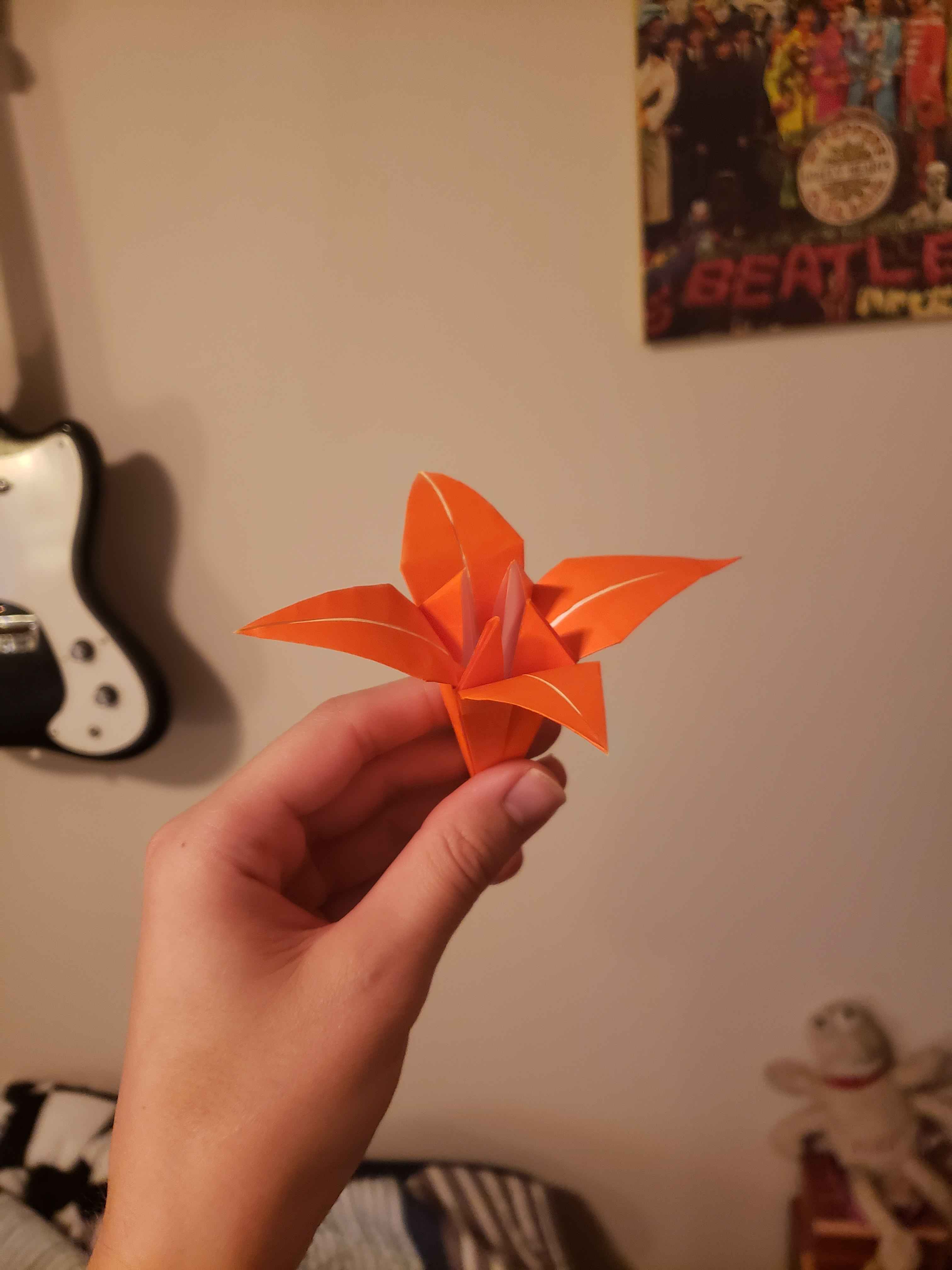 Lily